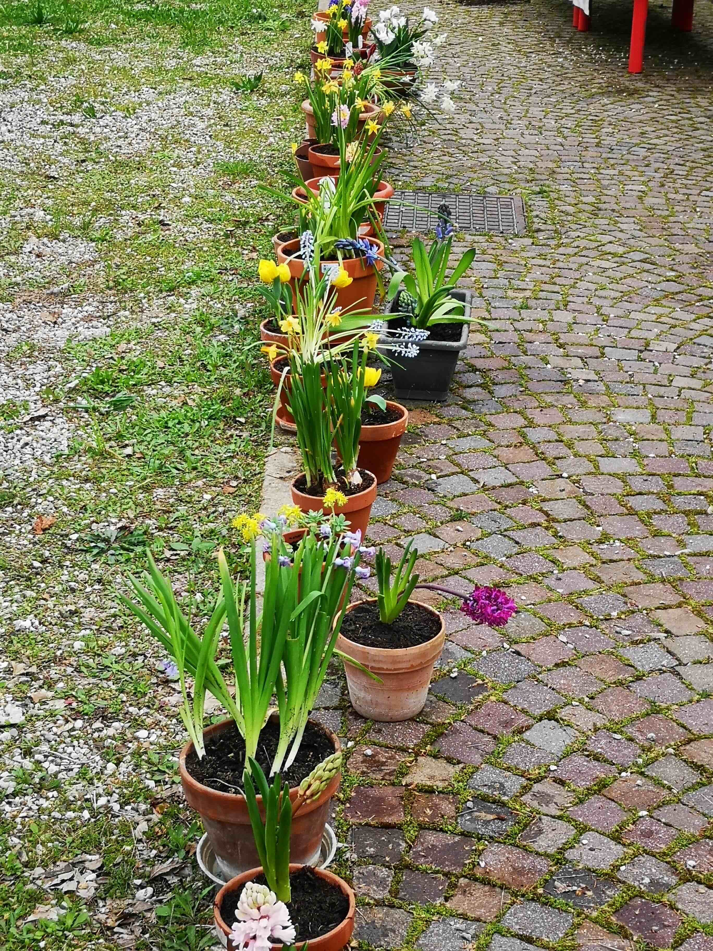 Entry Title